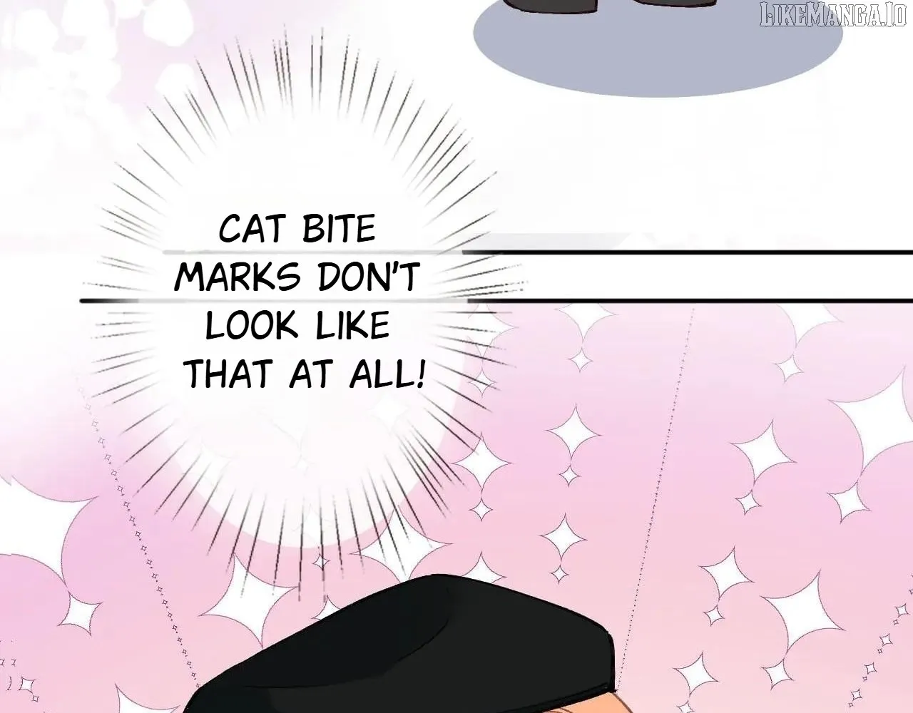 Read Everyone’s Darling chapter 261 image 54 on Lezhin