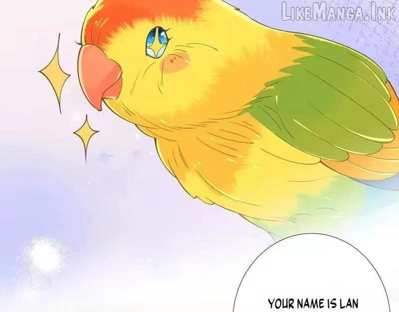 Read Everyone’s Darling chapter 417 image 44 on Lezhin