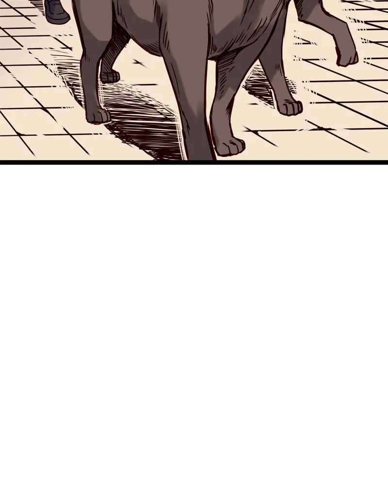 Read Everywhere & Nowhere chapter 141 image 17 on Lezhin
