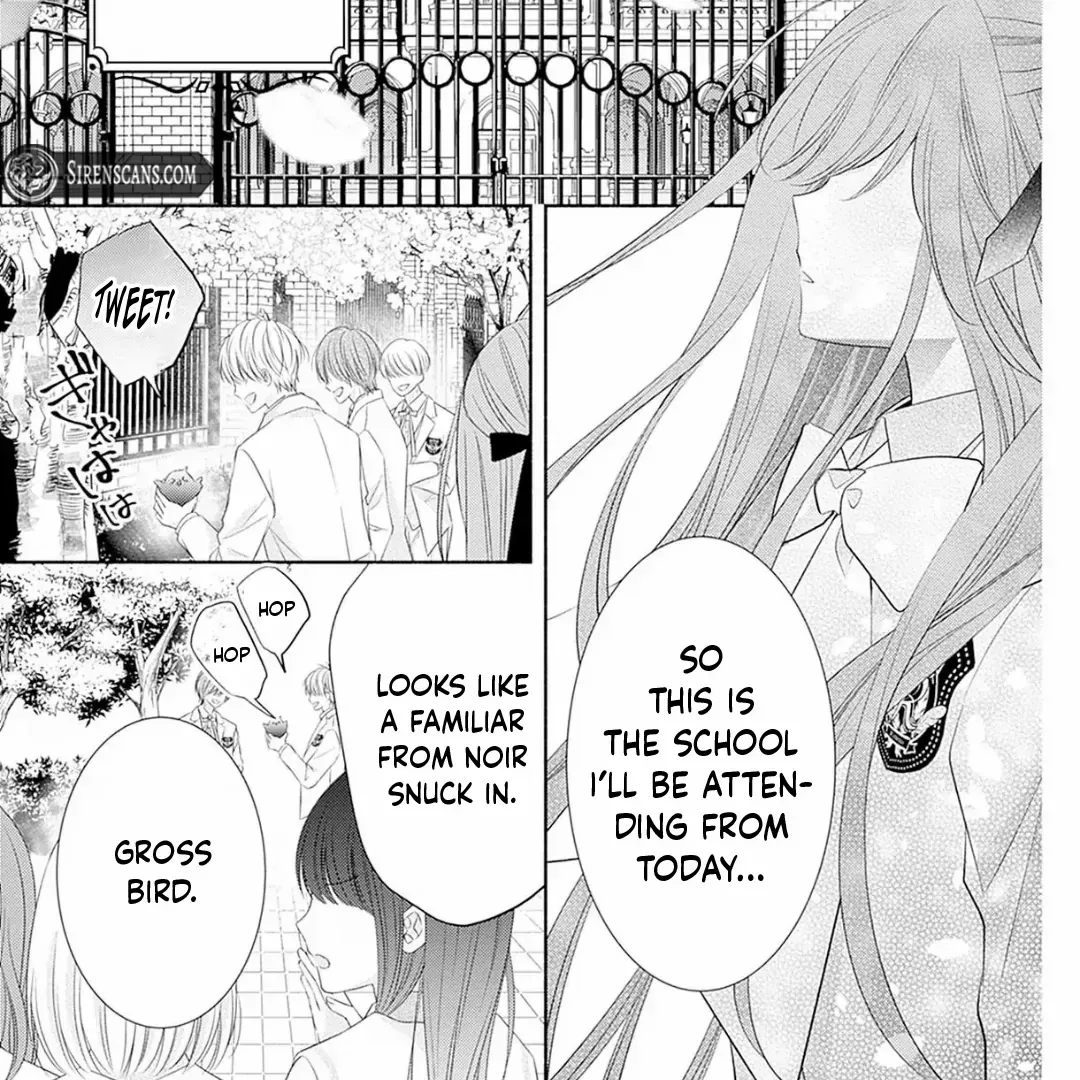 Evil Beauty and the Devil Prince Chapter 1 page 13 - 