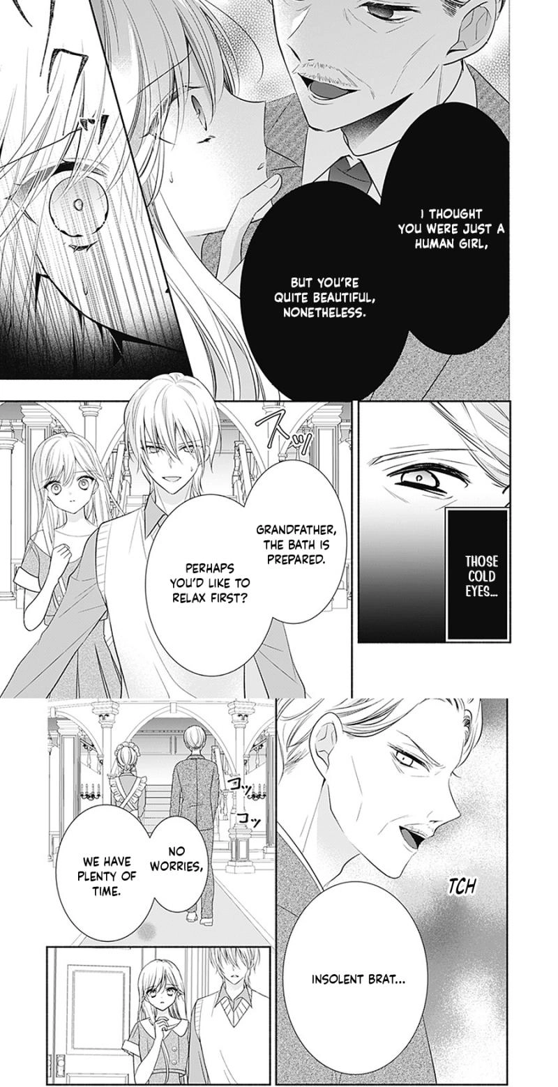 Evil Beauty and the Devil Prince Chapter 13 page 19 - 