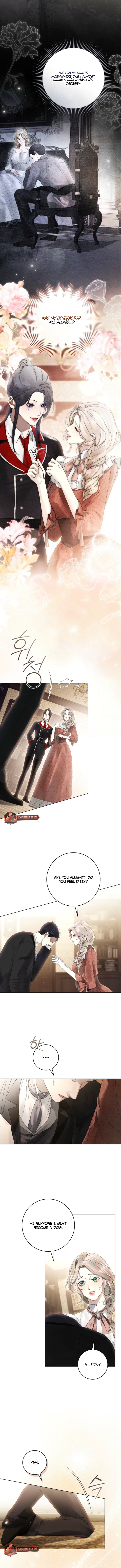 Read Evil Husband chapter 31 image 6 on Lezhin