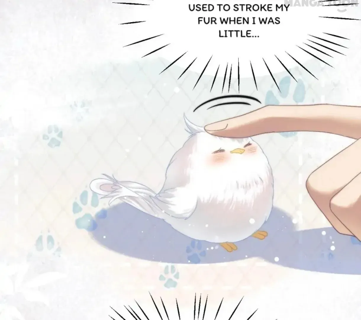 Read Exclusively the Master chapter 8 image 4 on Lezhin