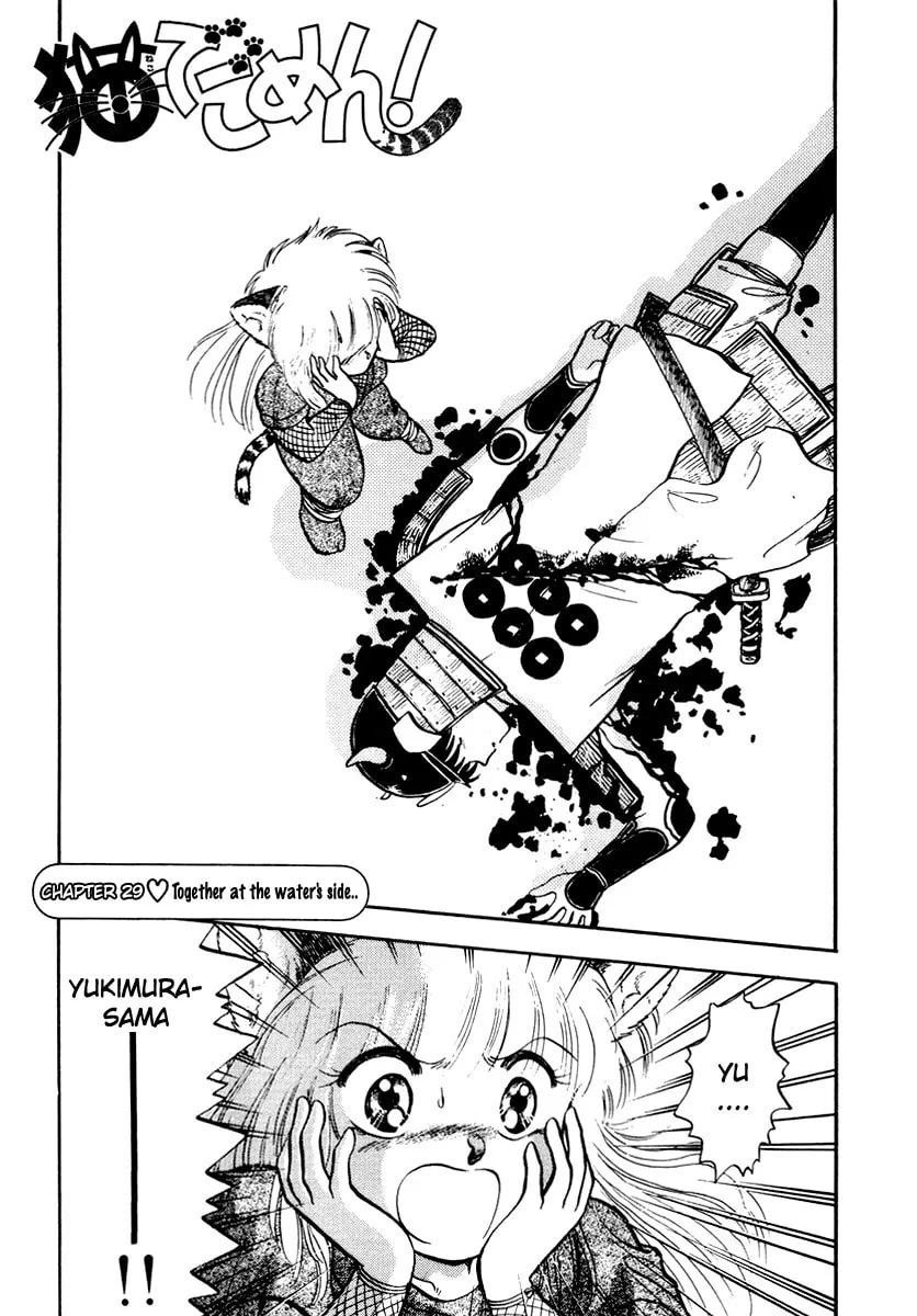 Read Excuse Me for Being a Cat! chapter 29 image 1 on Lezhin