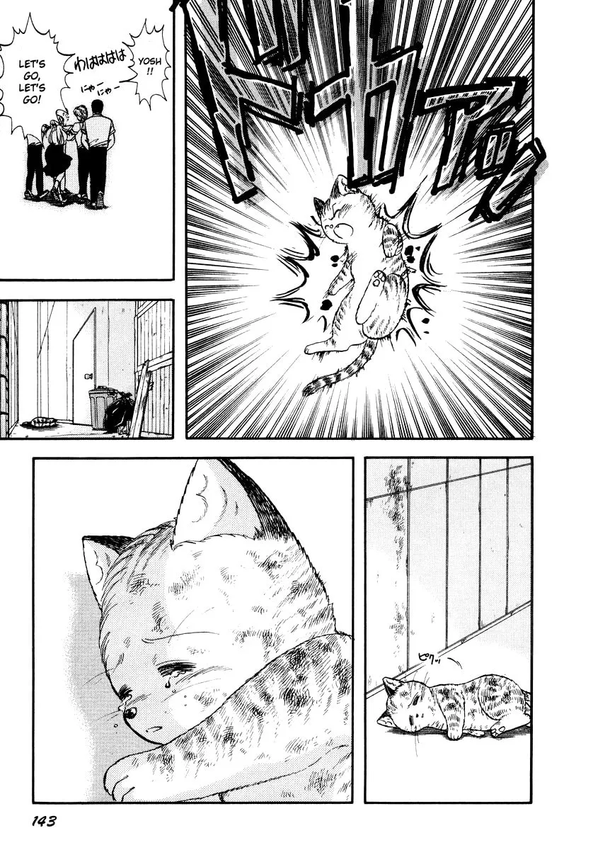 Read Excuse Me for Being a Cat! chapter 33 image 19 on Lezhin