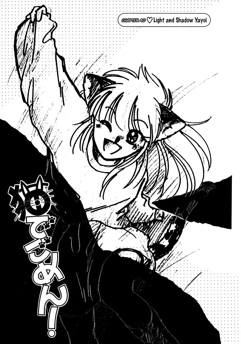 Read Excuse Me for Being a Cat! chapter 40 image 1 on Lezhin
