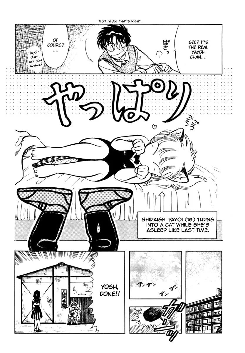 Read Excuse Me for Being a Cat! chapter 9 image 12 on Lezhin