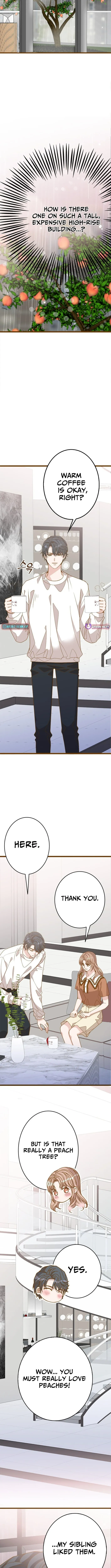 Read Executive, Let’s Just Hold Hands and Sleep chapter 17 image 6 on Lezhin