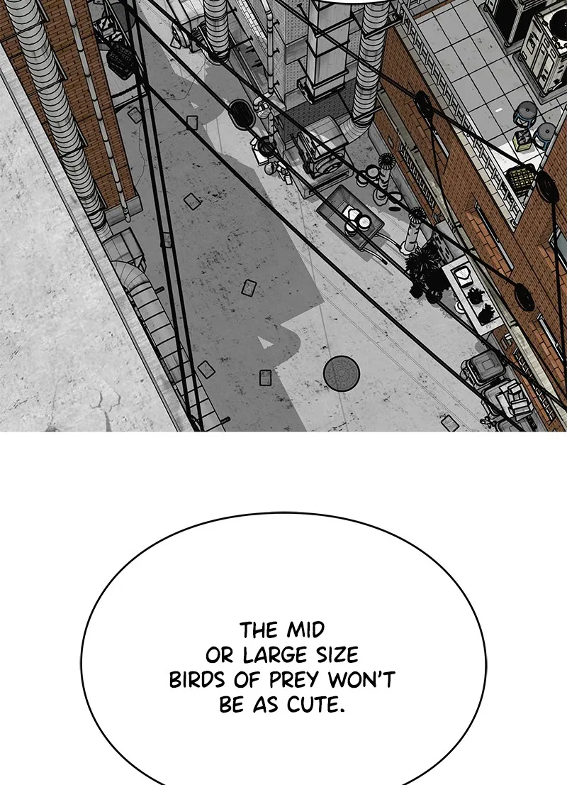 Read Eyes chapter 10 image 77 on Lezhin