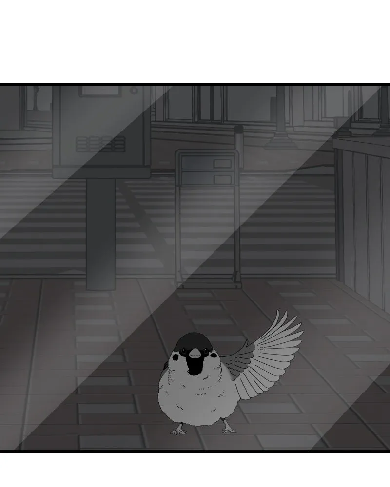 Read Eyes chapter 47 image 142 on Lezhin