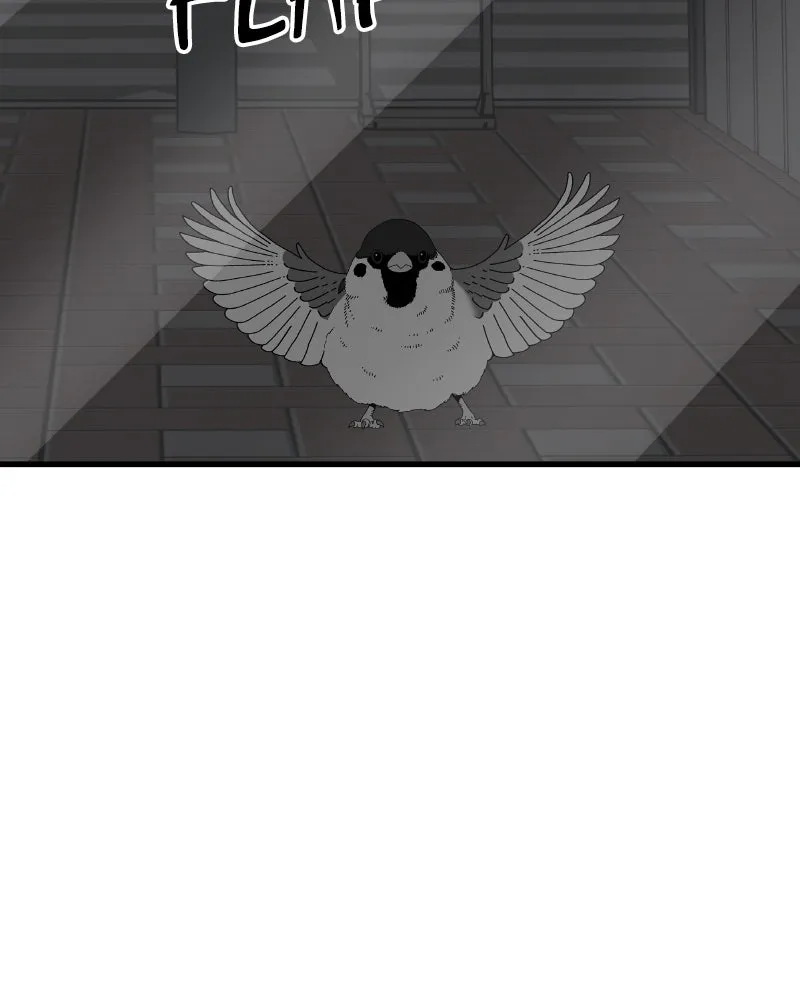 Read Eyes chapter 47 image 144 on Lezhin