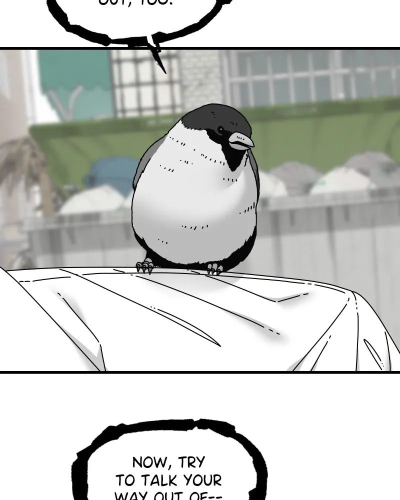 Read Eyes chapter 57 image 34 on Lezhin