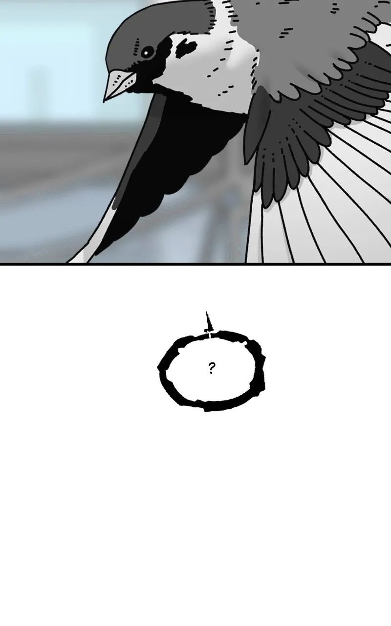 Read Eyes chapter 90 image 78 on Lezhin