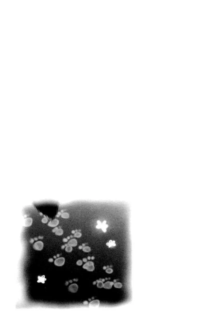 Read F.O.X chapter 3.5 image 42 on Lezhin