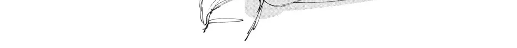 Read Fabricant 100 chapter 24 image 37 on Lezhin