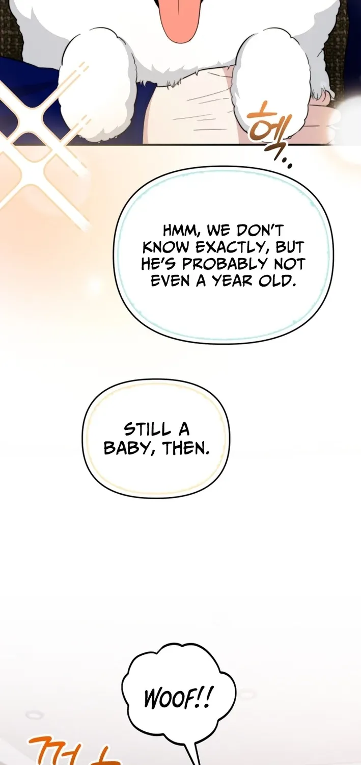 Read Face Genius: Top Star from Age Zero chapter 48 image 33 on Lezhin
