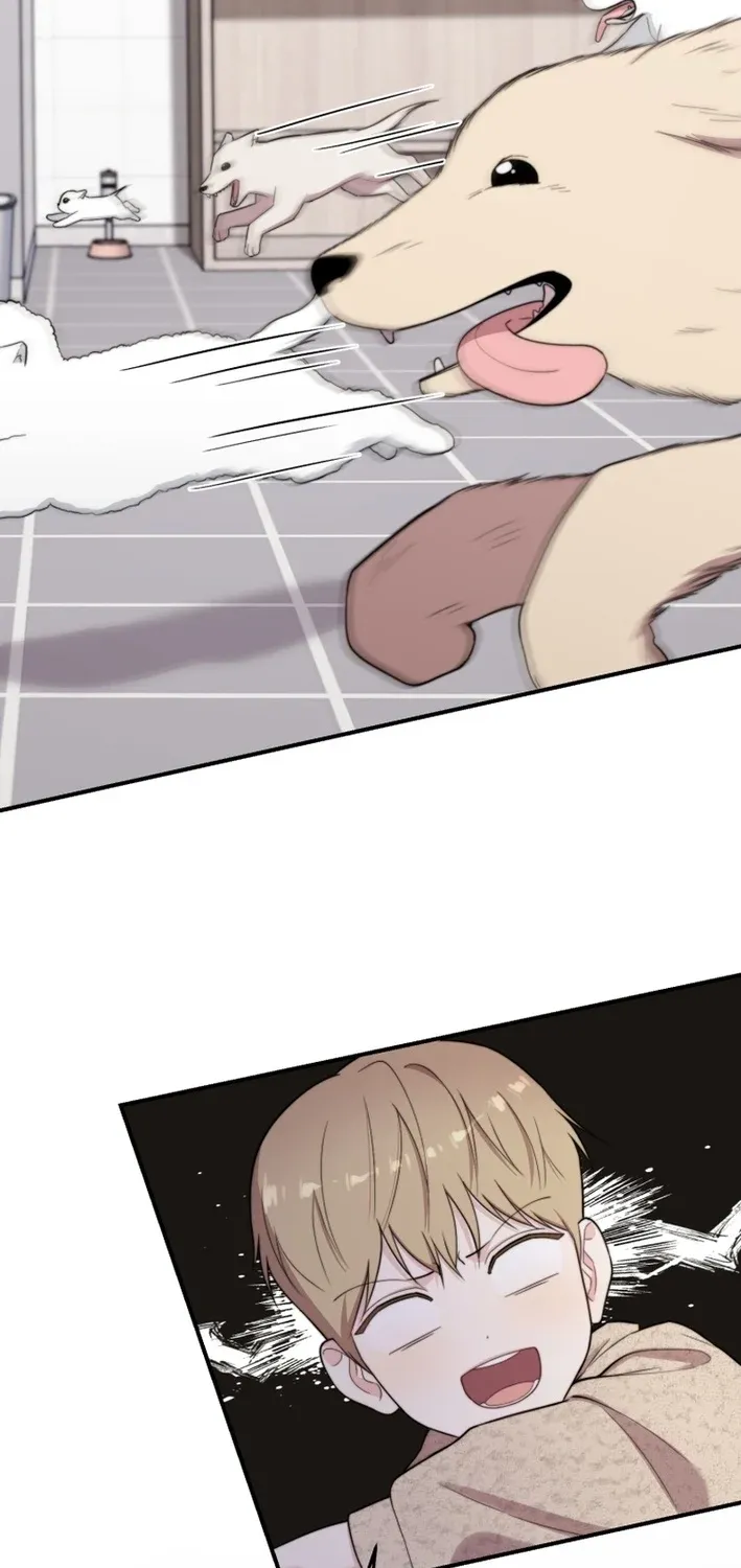 Read Face Genius: Top Star from Age Zero chapter 48 image 62 on Lezhin