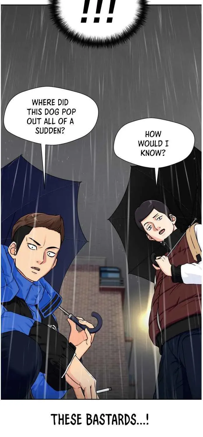 Face Genius Chapter 49 page 37 - 