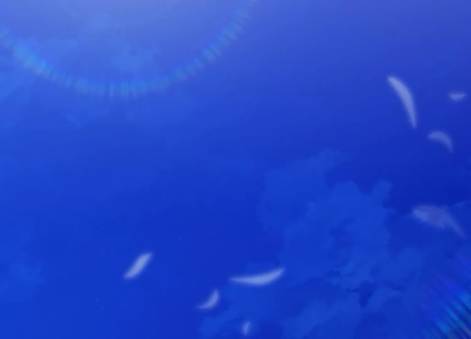 Fall in Love or Die Chapter 52 page 265 - 