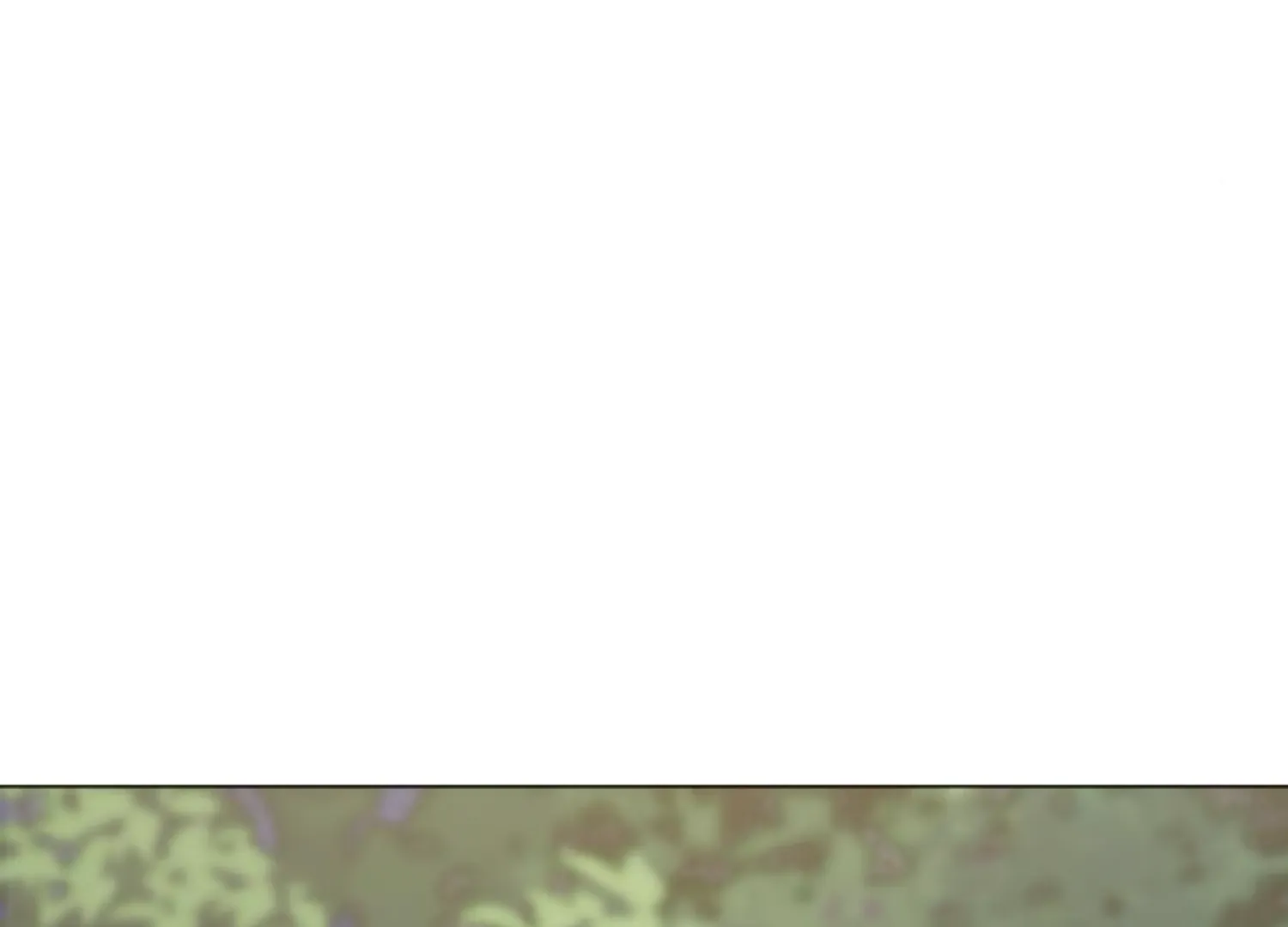 Fall in Love or Die Chapter 70 page 31 - 