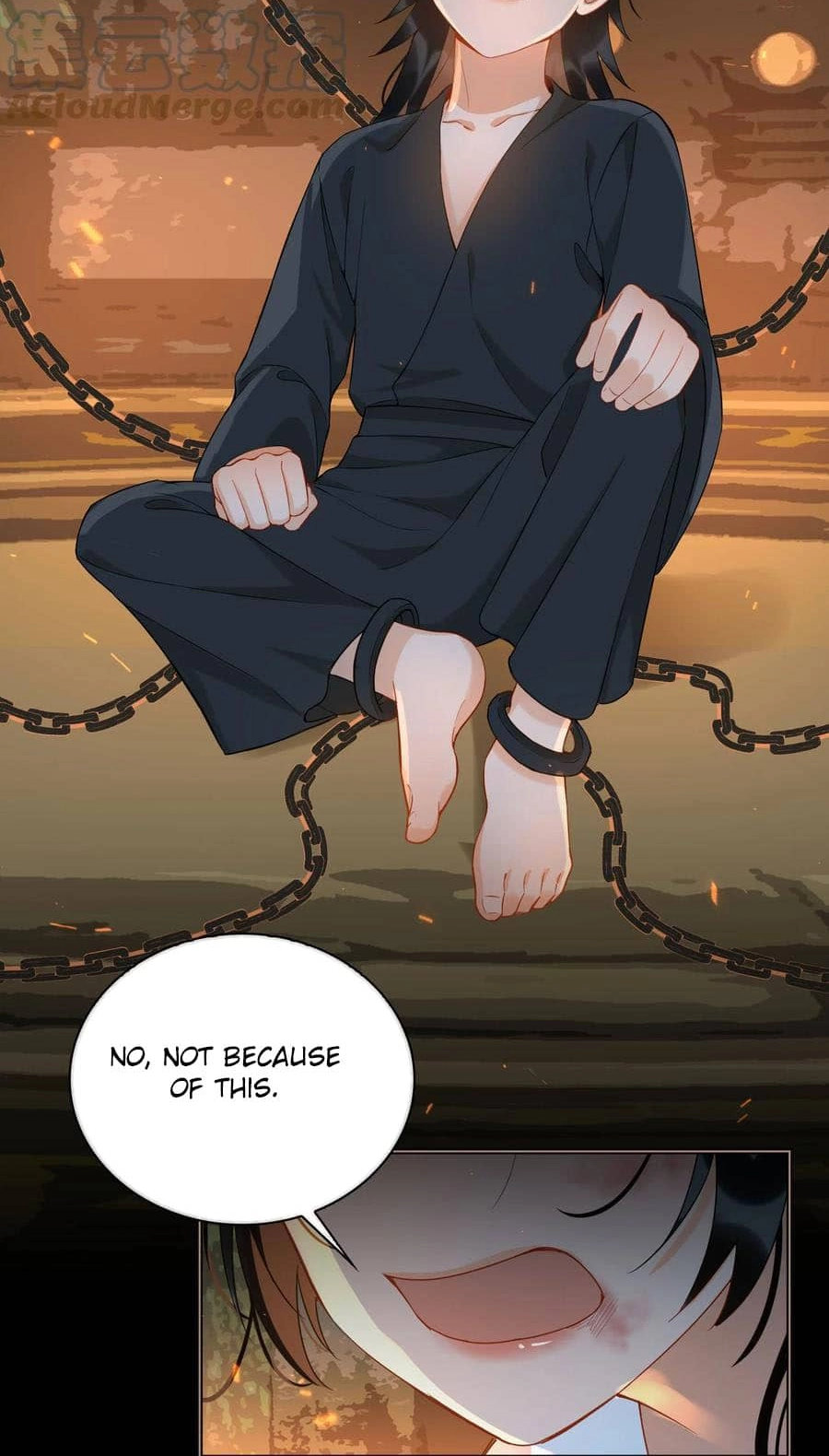 Fall in Mistaken Love Chapter 45.6 page 13 - 