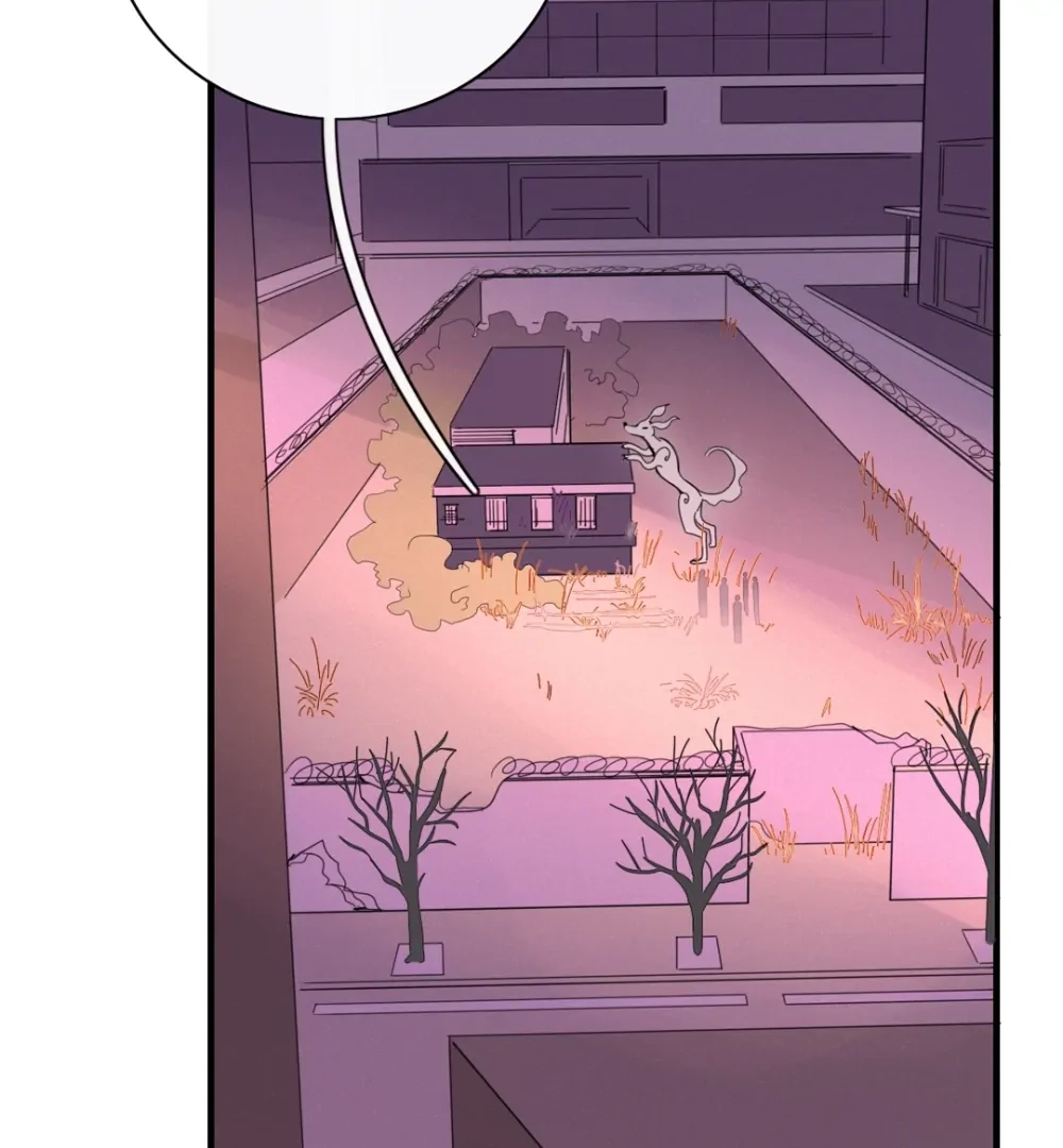 Read Fall Into Your Trap chapter 85 image 3 on Lezhin