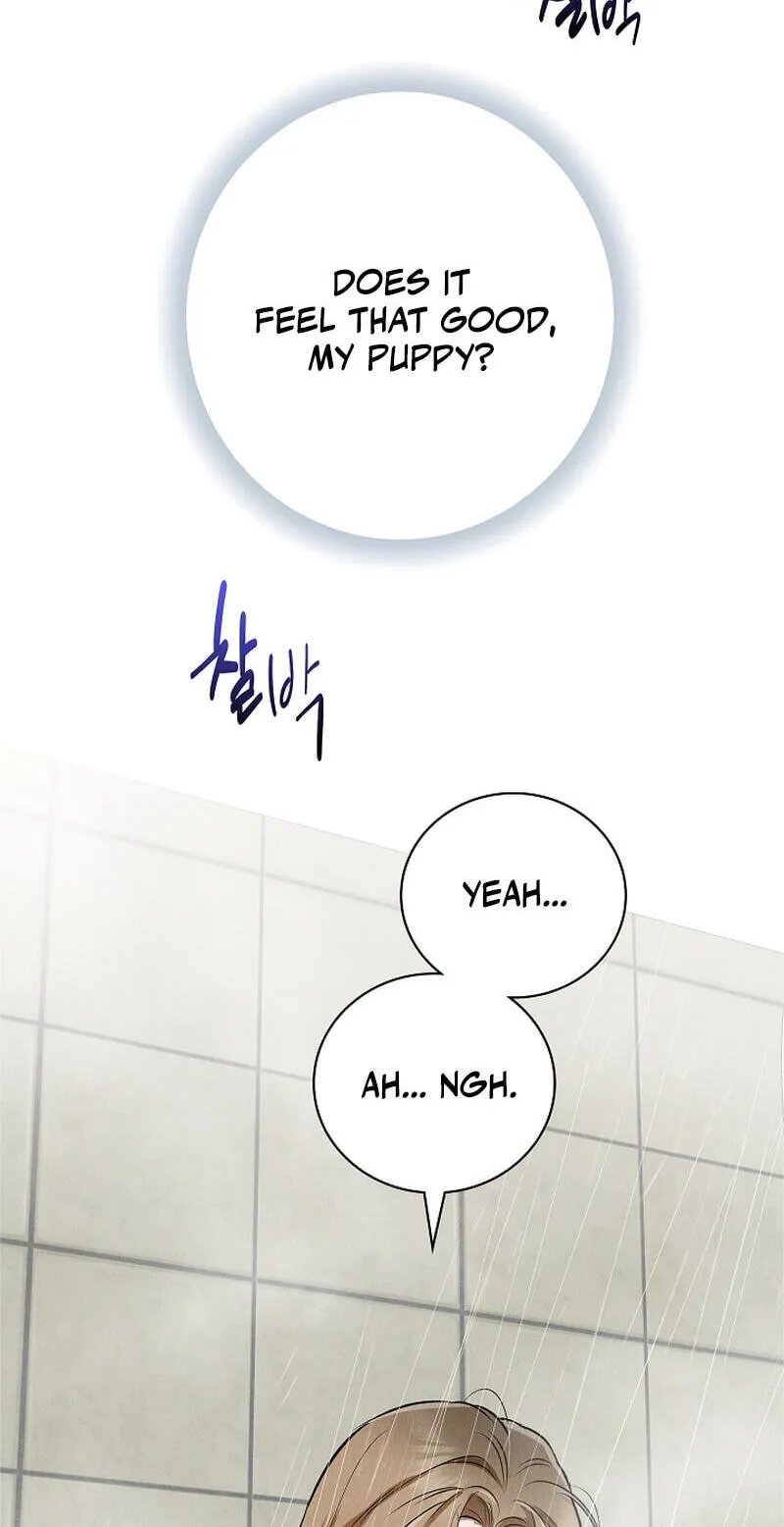 Falling (DOG) Chapter 72 page 65 - 