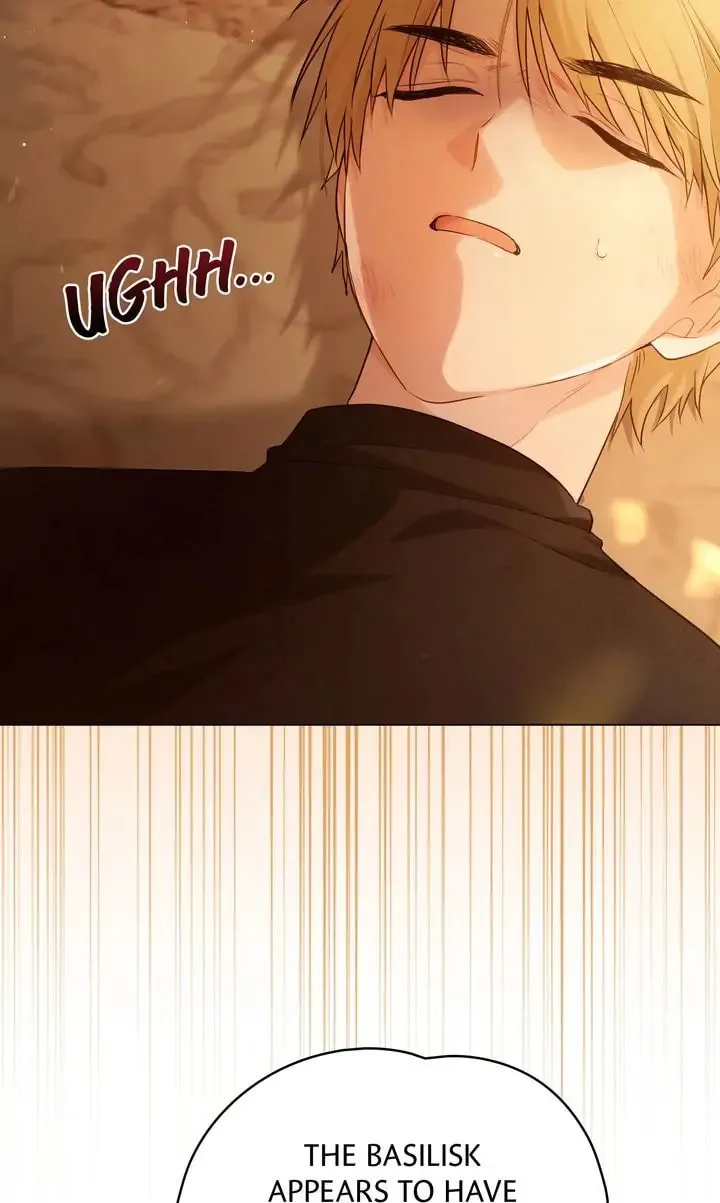 Read Falling for a Dying Princess chapter 11 image 42 on Lezhin