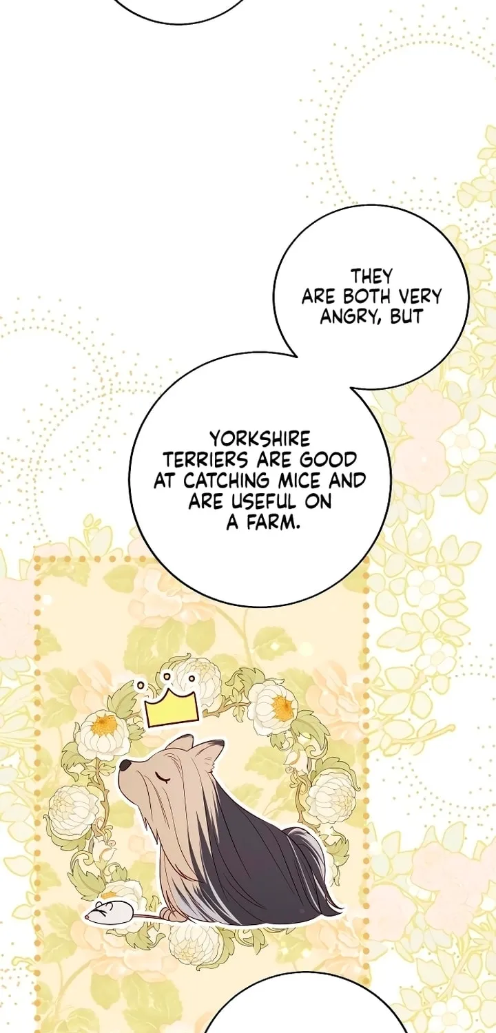 Read Falling to Paradise chapter 15 image 66 on Lezhin
