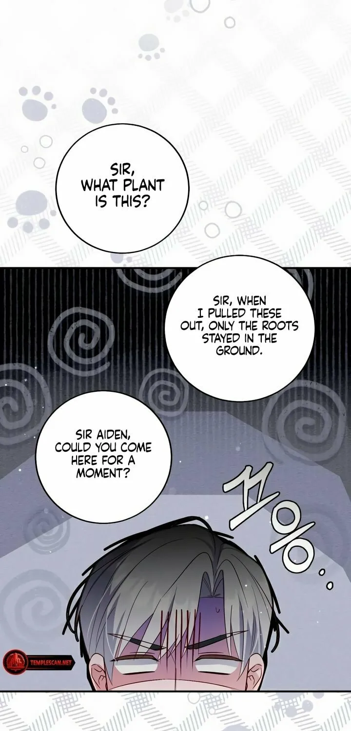 Read Falling to Paradise chapter 17 image 30 on Lezhin