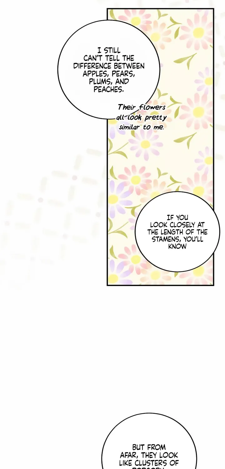 Read Falling to Paradise chapter 27 image 4 on Lezhin