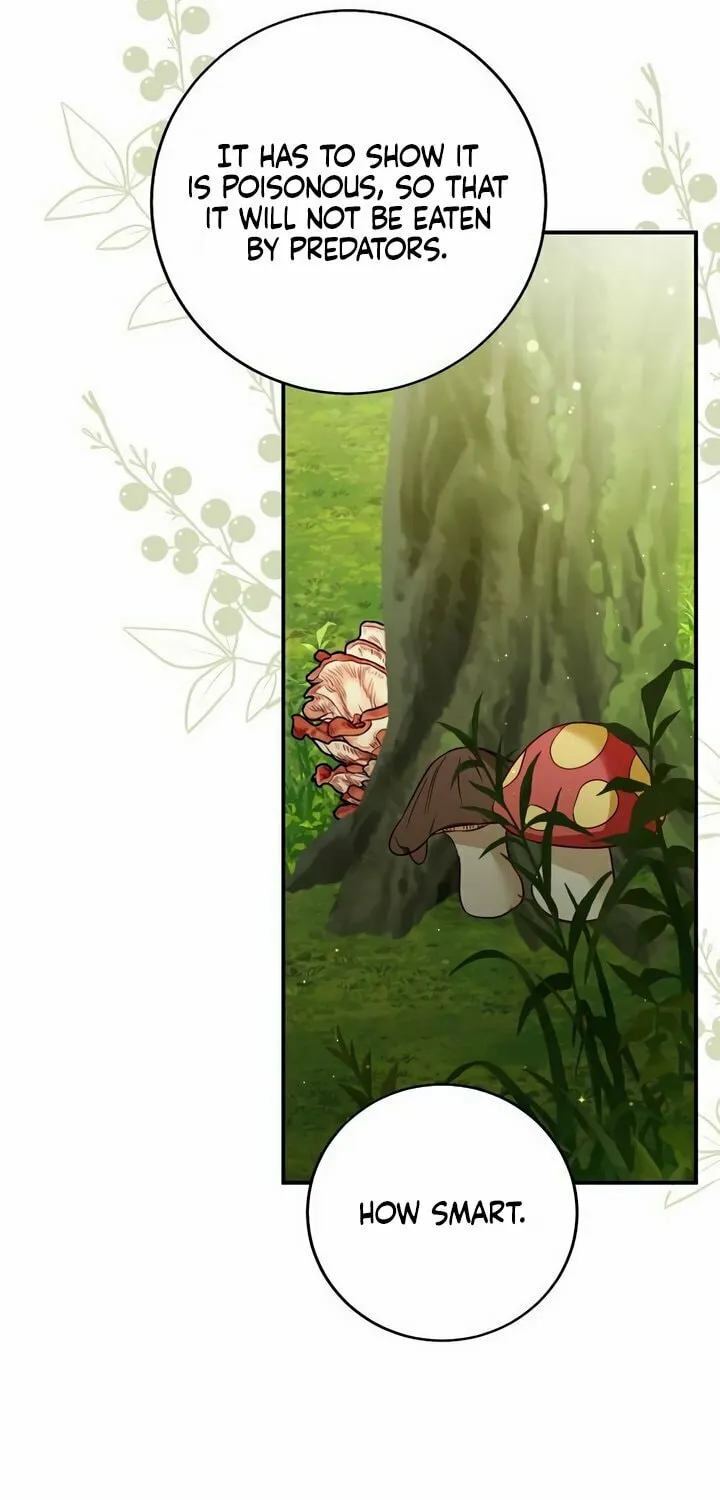 Read Falling to Paradise chapter 29 image 41 on Lezhin