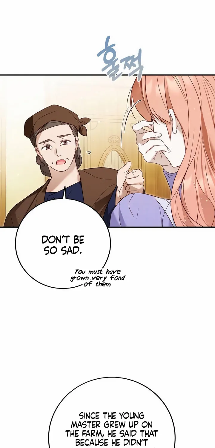 Read Falling to Paradise chapter 31 image 43 on Lezhin