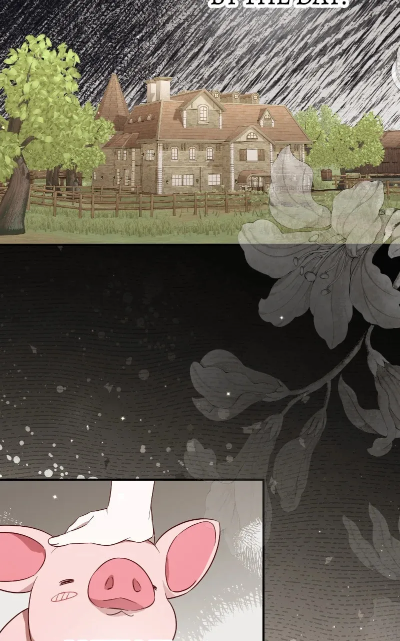 Read Falling to Paradise chapter 51 image 3 on Lezhin