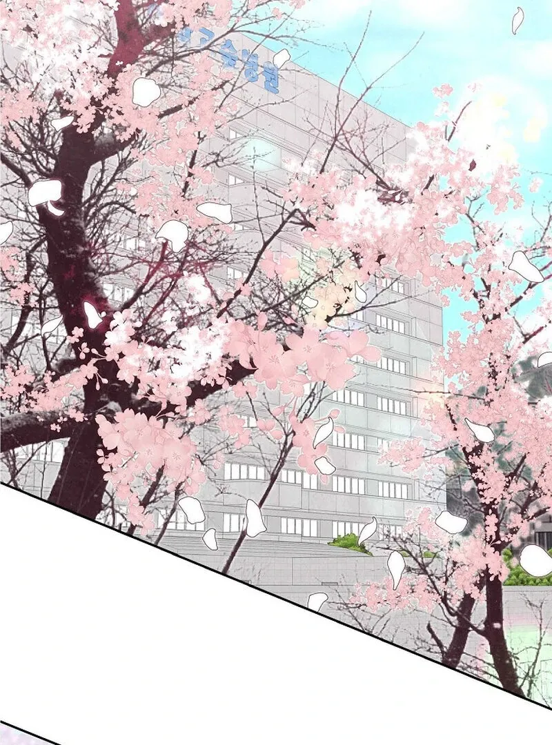 Read Falling chapter 48 image 29 on Lezhin