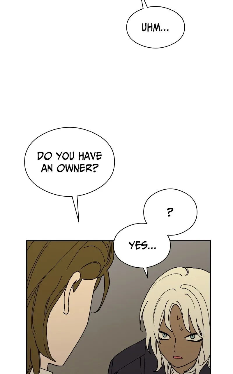 Read False Paradise chapter 39 image 15 on Lezhin