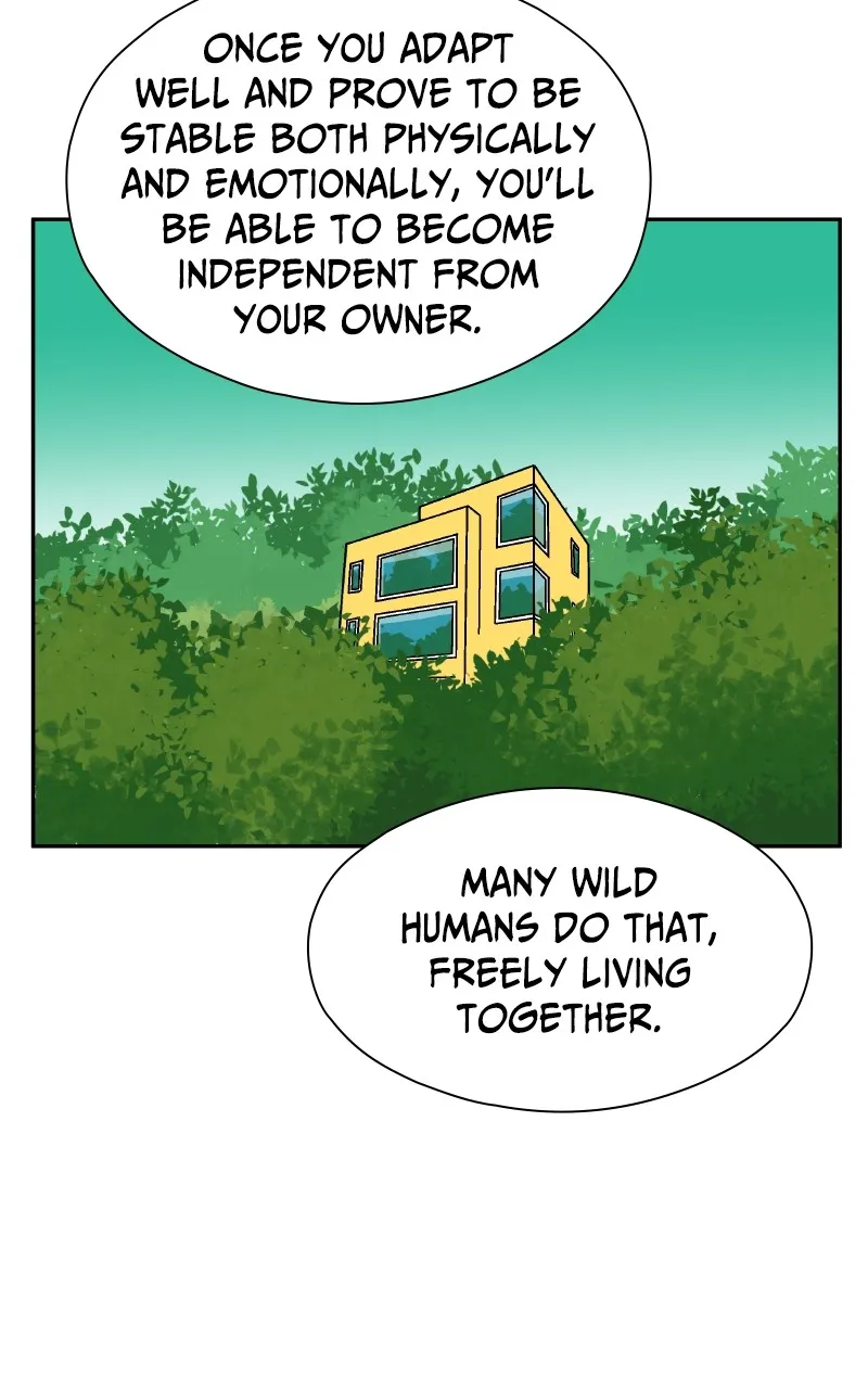 Read False Paradise chapter 7 image 6 on Lezhin