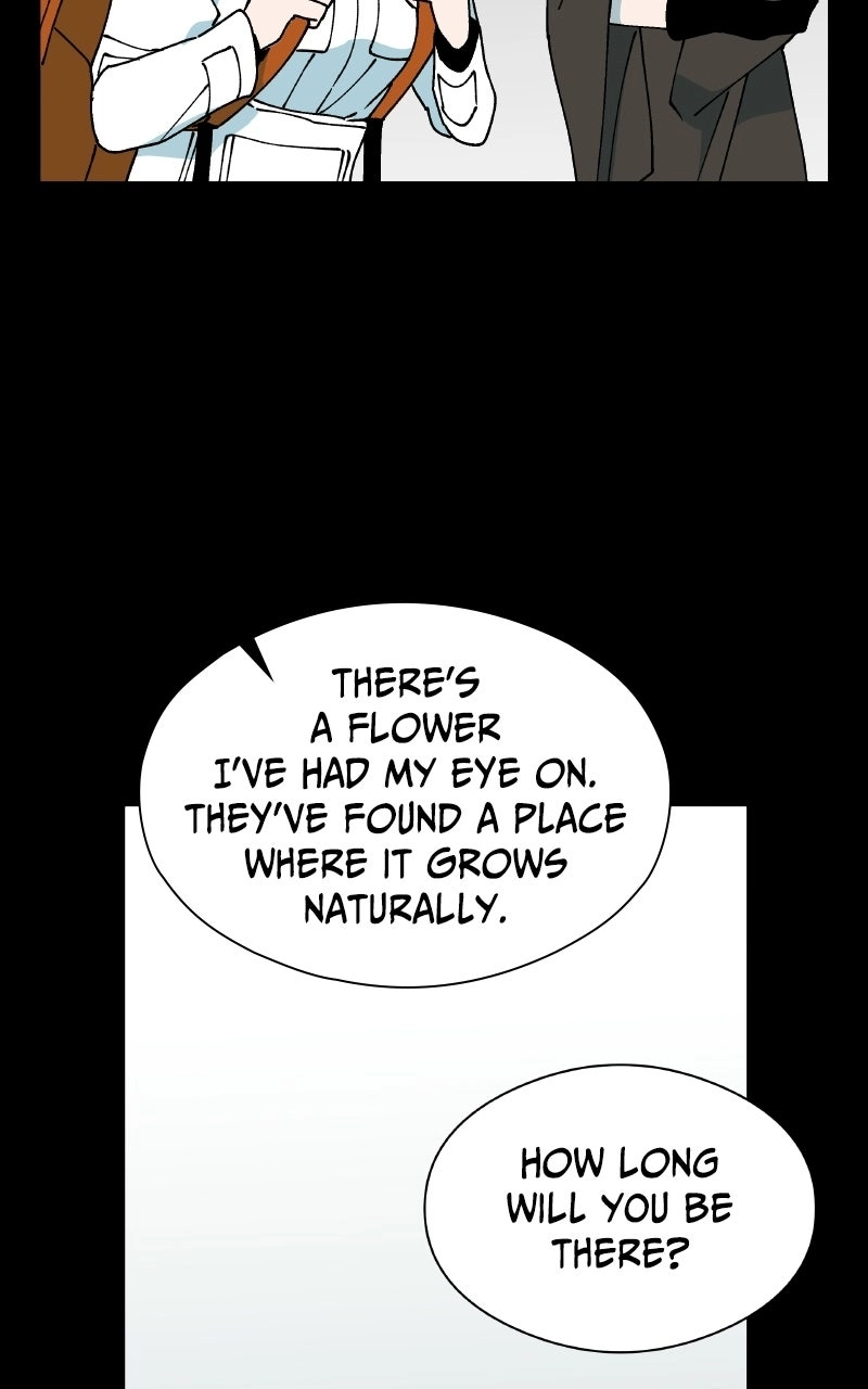 False Paradise Chapter 85 page 43 - 
