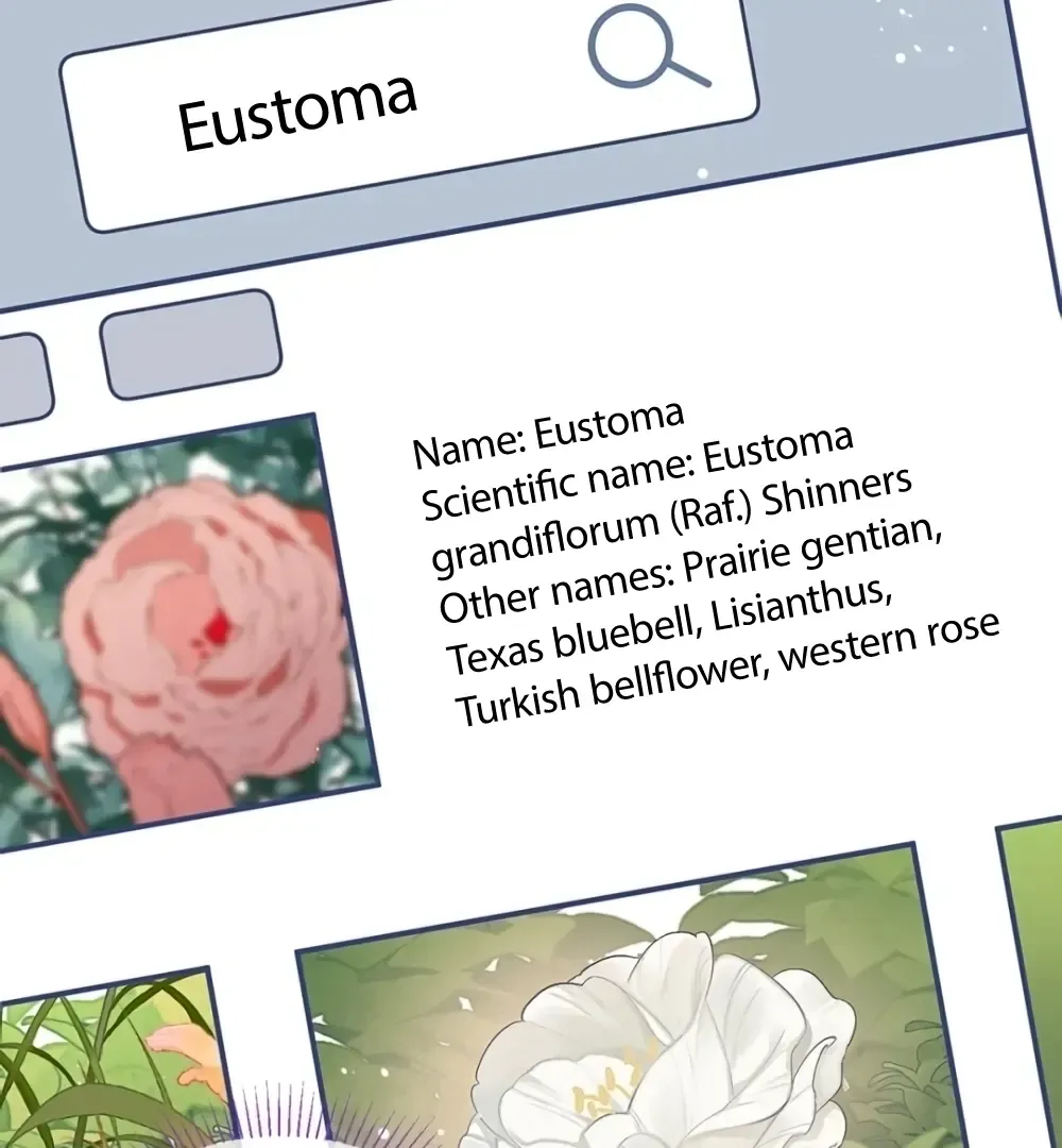Read Fanservice Paradox chapter 38 image 40 on Lezhin