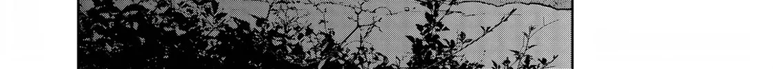 Read Far East Chimera chapter 29 image 26 on Lezhin