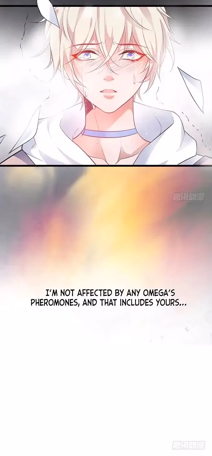 Read Fatal Scents chapter 2 image 33 on Lezhin