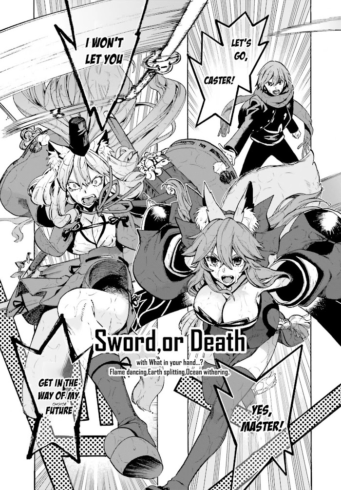 Read Fate/Extra CCC: Fox Tail chapter 73 image 12 on Lezhin