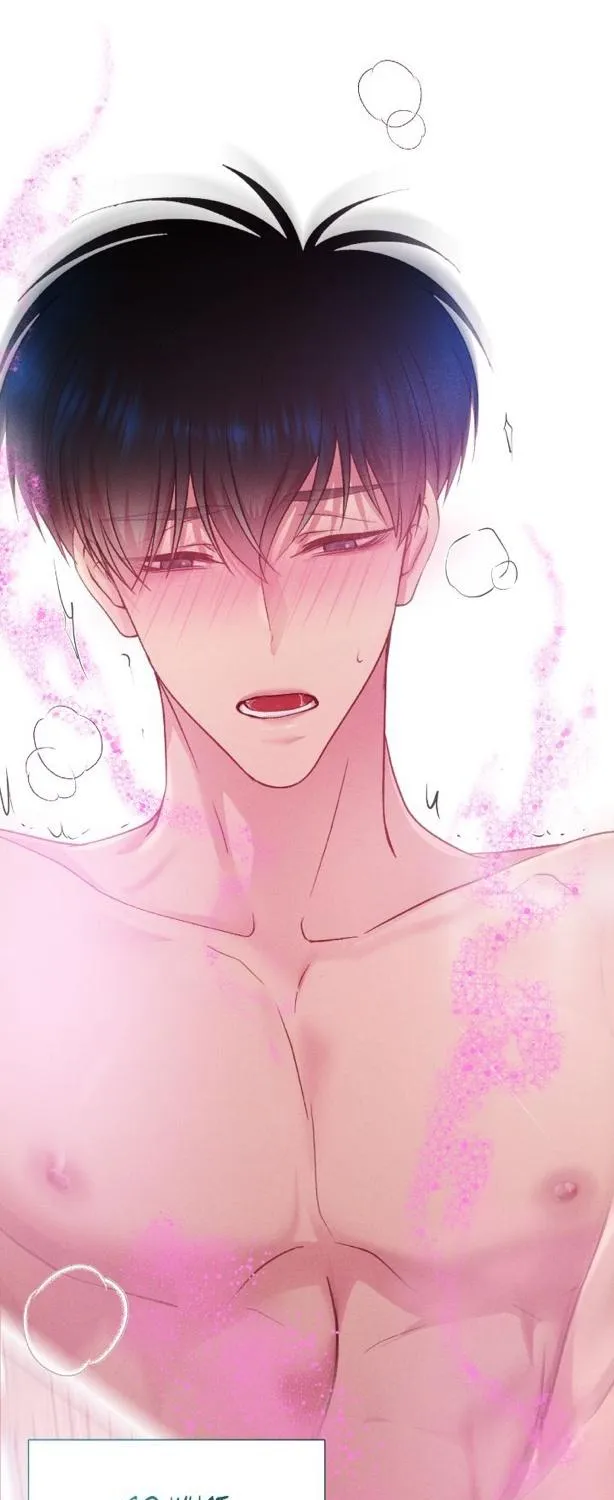 Read Fate Mate chapter 1.1 image 13 on Lezhin