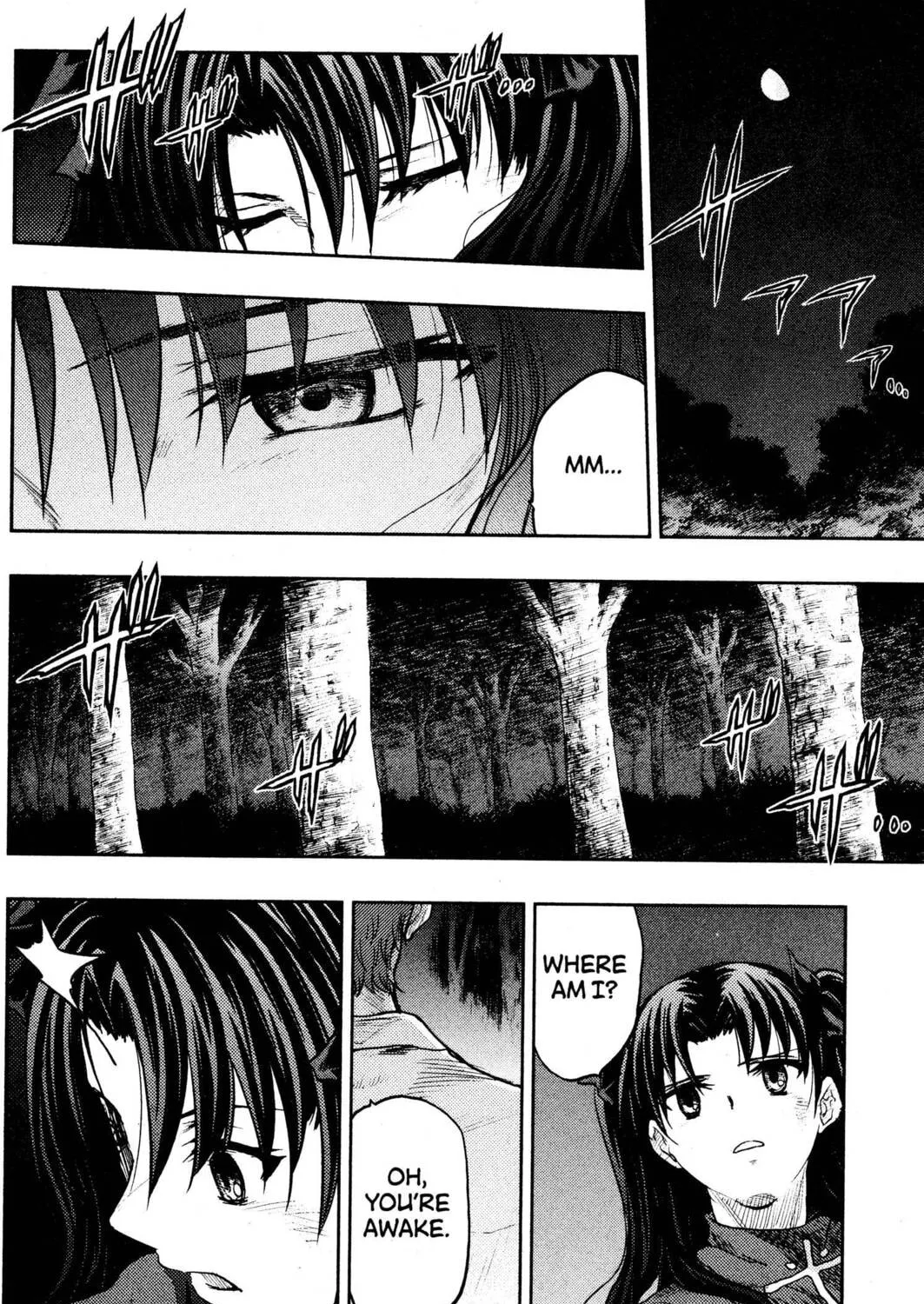 Read Fate/stay night chapter 36 image 2 on Lezhin
