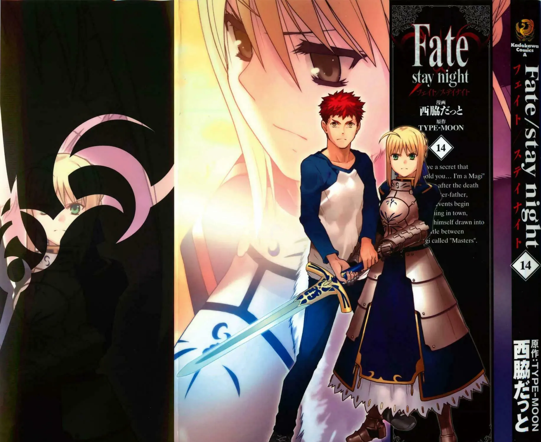 Read Fate/stay night chapter 55 image 5 on Lezhin