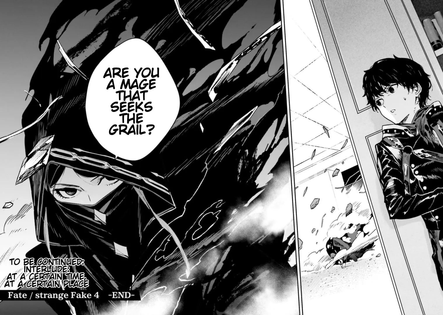 Read Fate/strange Fake chapter 16.2 image 24 on Lezhin