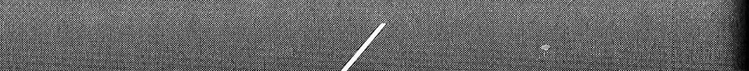Read Fate/strange Fake chapter 5 image 13 on Lezhin