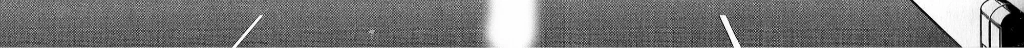 Read Fate/strange Fake chapter 5 image 9 on Lezhin