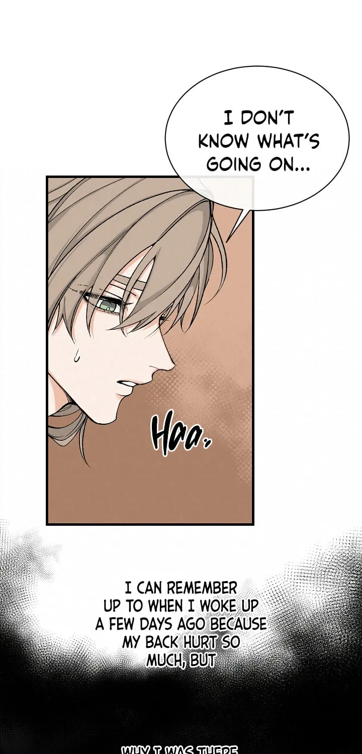 Read Fever (Seo Jogeum) chapter 13 image 30 on Lezhin