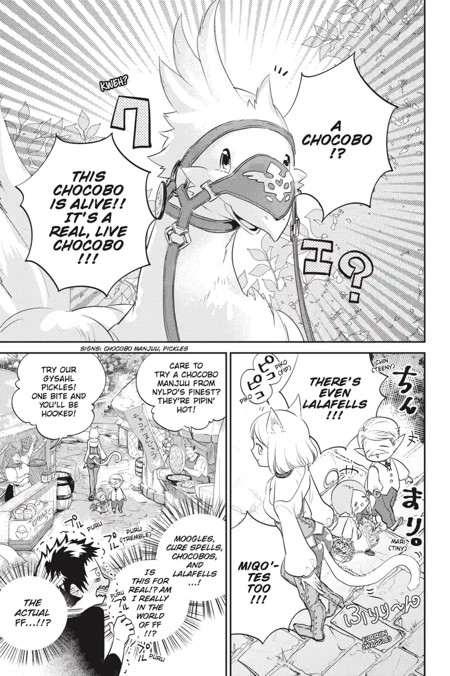 Read Final Fantasy Lost Stranger chapter 1.1 image 10 on Lezhin